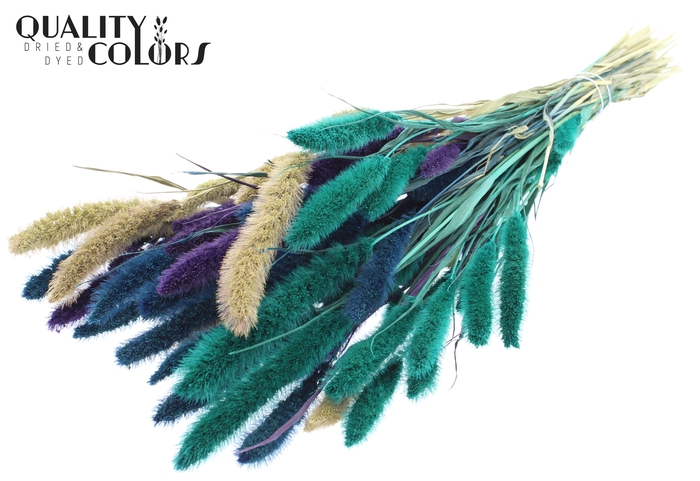 Setaria per bunch Scandinavian Mix