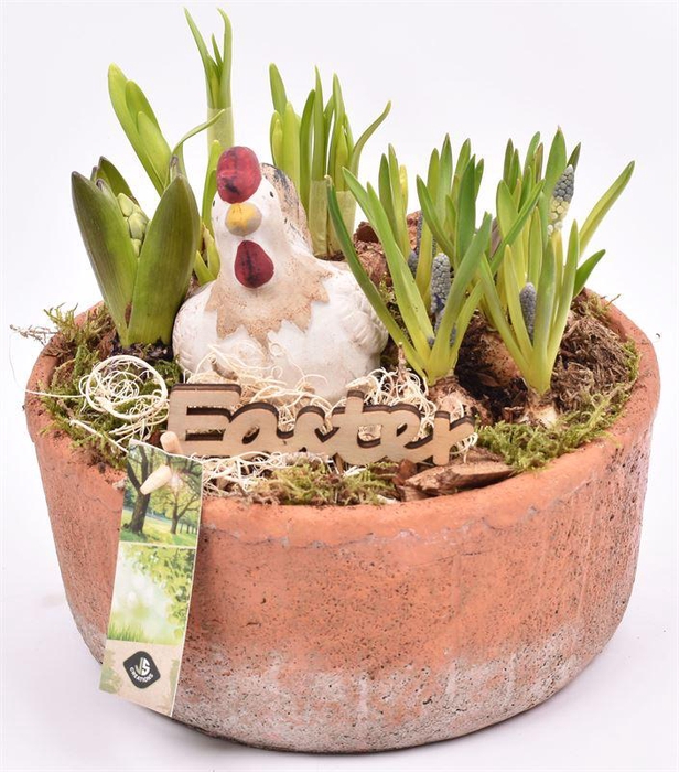 <h4>Cement schaal terra kleur 20.5cm</h4>