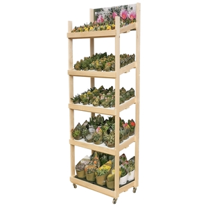 WOODEN DISPLAY NORMAL - POT Ø3.5 96 PCS -Ø5.5 60 PCS - Ø6.5 40 PCS -Ø10,5 22PCS - Ø 14 12 PCS - 60 X 40 H 190 CM