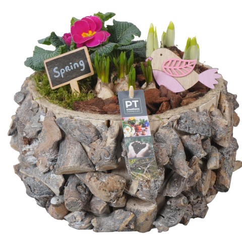 <h4>PTBM3154 Arrangementen Tuinplanten</h4>