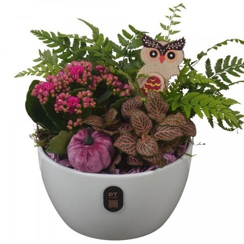 <h4>PTHI3238 Arrangement Autumn Indoor in keramiek schaal</h4>