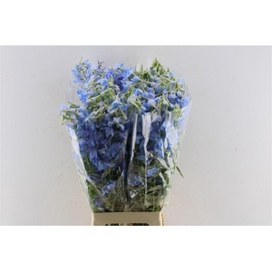 Delph En Ballkleid Pale Blue