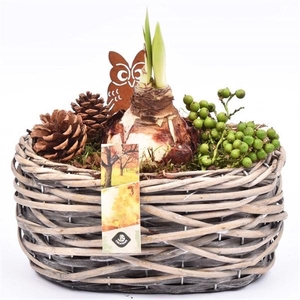 Wilg mand ovaal girjs 22x13cm