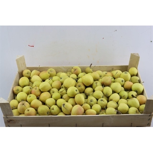 Sier Malusappel Light Green