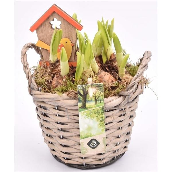 <h4>Wilg mand grijs met oor 14cm</h4>