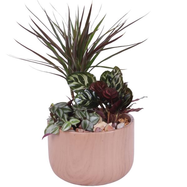 <h4>Yearround Arr. Indoor Ceramic Naturel Touch N565 Ø20cm 3PP</h4>