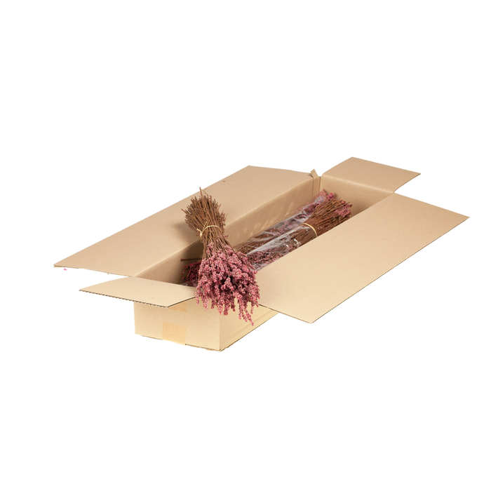 <h4>Lavender Preserved Sb Pink</h4>