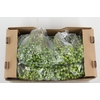 MELIA AZEDARACH BAG 500GR