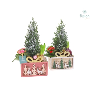 Kerst planter hout met Arrangement