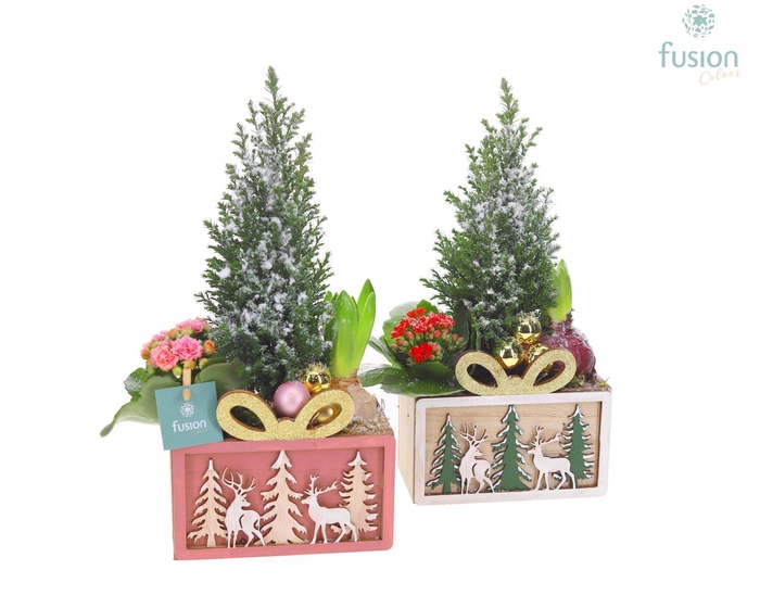 <h4>Kerst planter hout met Arrangement</h4>