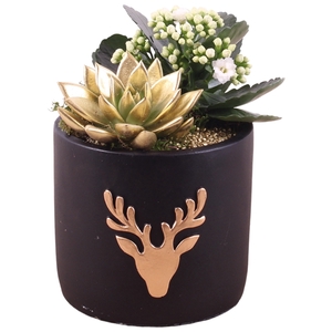 Christmas Arr.Indoor Ceramic Pot round reindeer black ø14cm 2PP