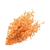 Lino Vlas Peach