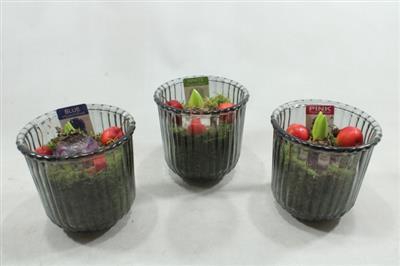 <h4>1100 Streep-Glas</h4>