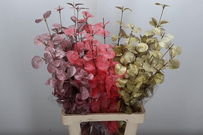 <h4>Deco Stem Euca Mixed X18</h4>