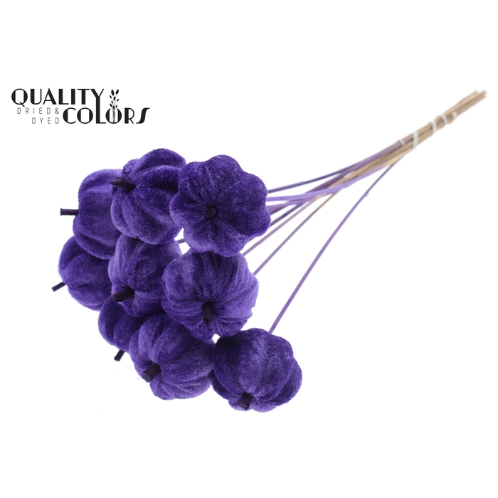 <h4>Velvet Pumpkin Ø6cm on stem Purple</h4>
