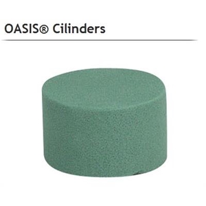 1..OASIS 11-01017 ECONOMY X99 P.DS