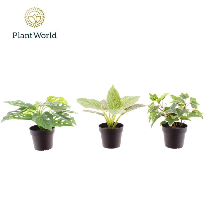 <h4>Artificial mix 9cm</h4>