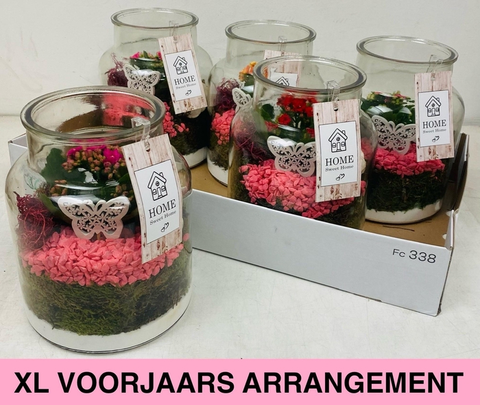 <h4>ARR KAMERPL</h4>