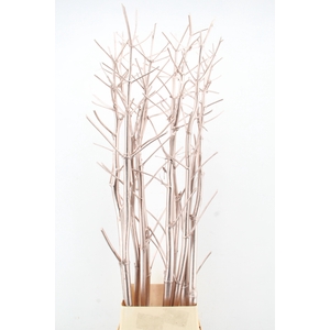 Ferule Kapstok Champagne