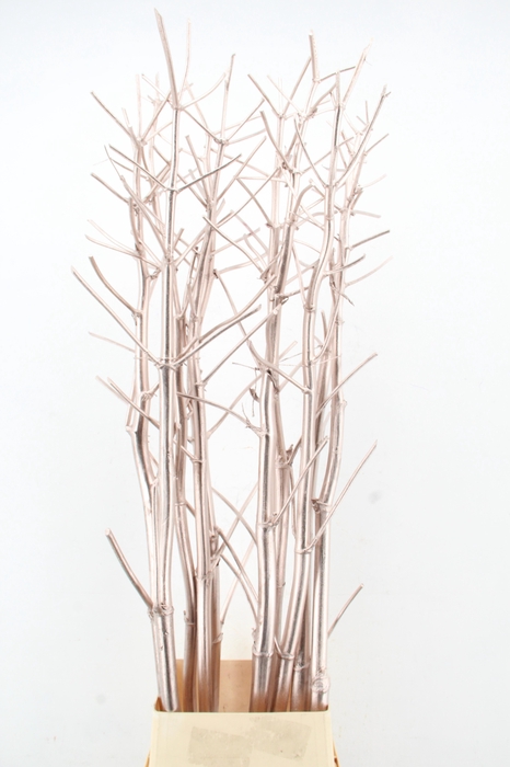 <h4>Ferule Kapstok Champagne</h4>