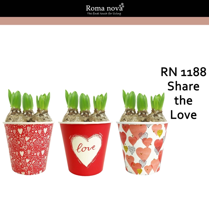 <h4>1188 - Share the Love (Hyacint)</h4>