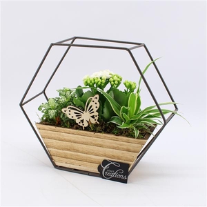 ESCR-2514W Essentials