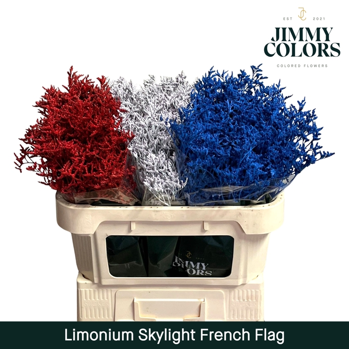 <h4>Limonium Skylight L70 French Flag</h4>