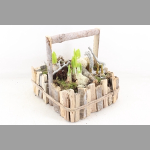 arr4 Bollenmix VL - Hengselkist hout L x2