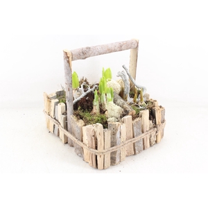 arr4 Bollenmix VL - Hengselkist hout L x2