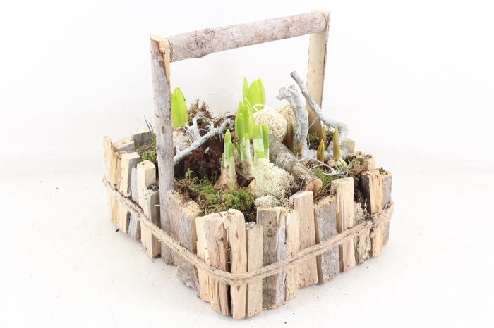 <h4>arr4 Bollenmix VL - Hengselkist hout L x2</h4>