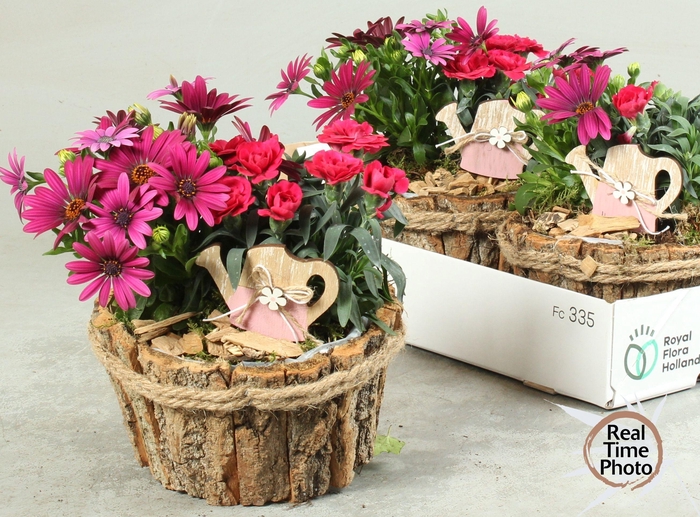 <h4>ARR GARDEN BARK PINK X3</h4>