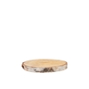 Nature Birch Slices Round D15-19cm X 2 Cm