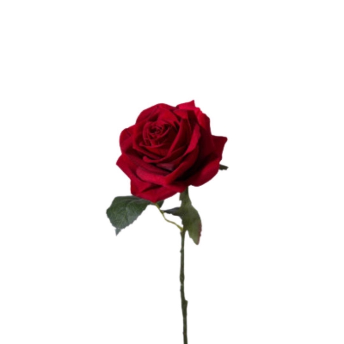 <h4>Rosa 54cm</h4>