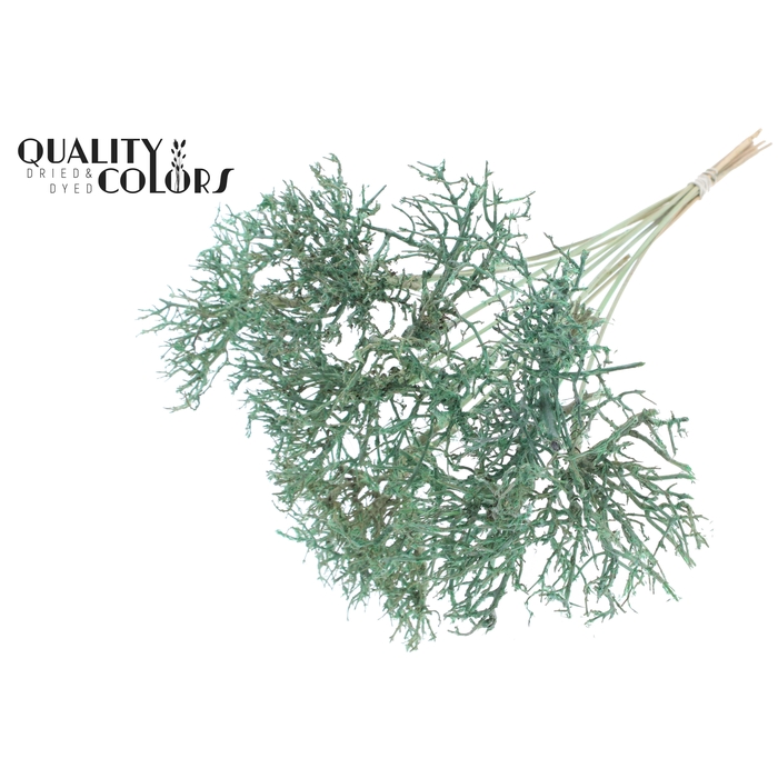<h4>Dry Tree on stem Frosted Mint Green</h4>