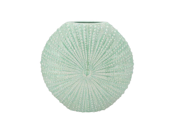 <h4>Shella Green Vase 23x8x23cm</h4>