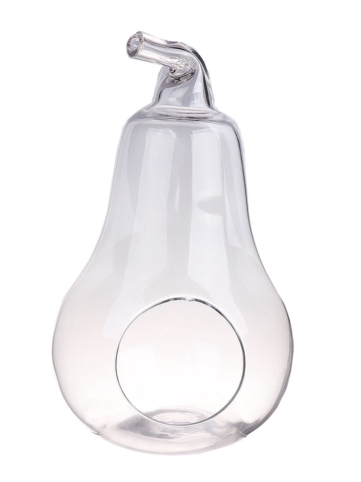 <h4>DF01-883696300 - Terrarium Pear Farrin d21xh36.5cm clear</h4>