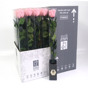 Rosa Preserved Stem 50cm Delicate Baby Pink