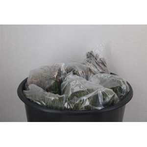 Dennen Needles Green P Bag