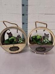 <h4>Houten wiel mix</h4>