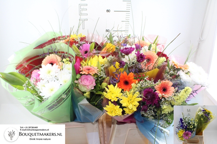 <h4>GEM BOEKET OV</h4>