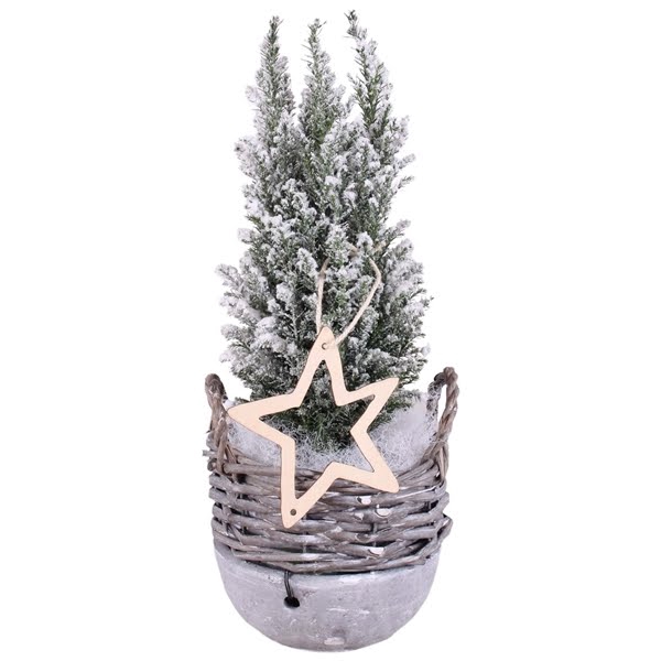 <h4>Christmas Arr.Conifer Willow Basket Ceramic Bottom 14 1PP</h4>