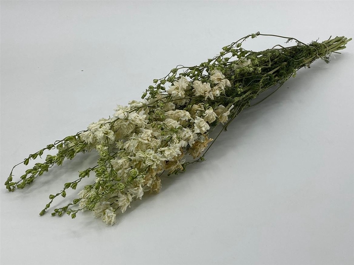 Dried Delphinium White Bunch