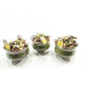 6456 BOSE SMALL TETE