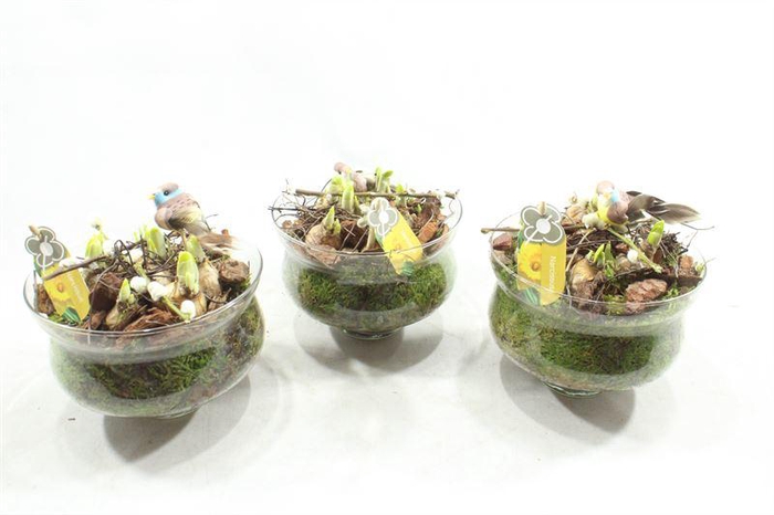 <h4>6456 BOSE SMALL TETE</h4>