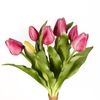 AF Tulip bundle x7 L30cm d.pi