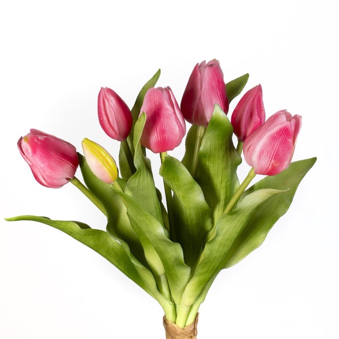 AF Tulip bundle x7 L30cm d.pi