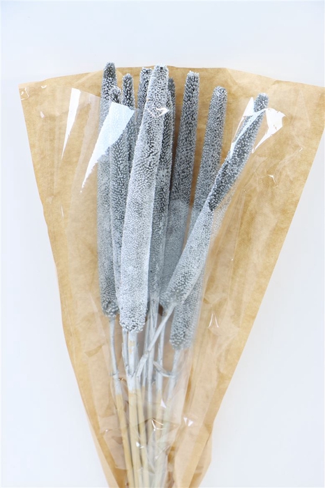 <h4>Dried Babala 10pc Silver Bunch</h4>