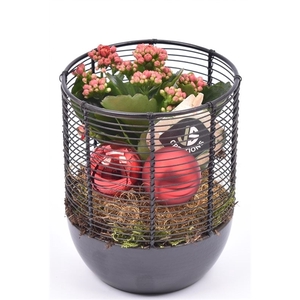 Metaal gaas planter zwart 12cm