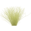 Berk 70cm Creme Pbs