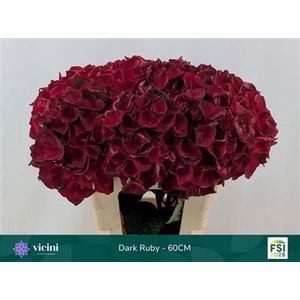 Hydr M Mag Dark Ruby